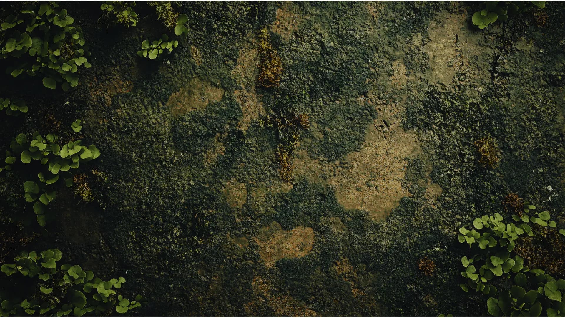 Removals background
