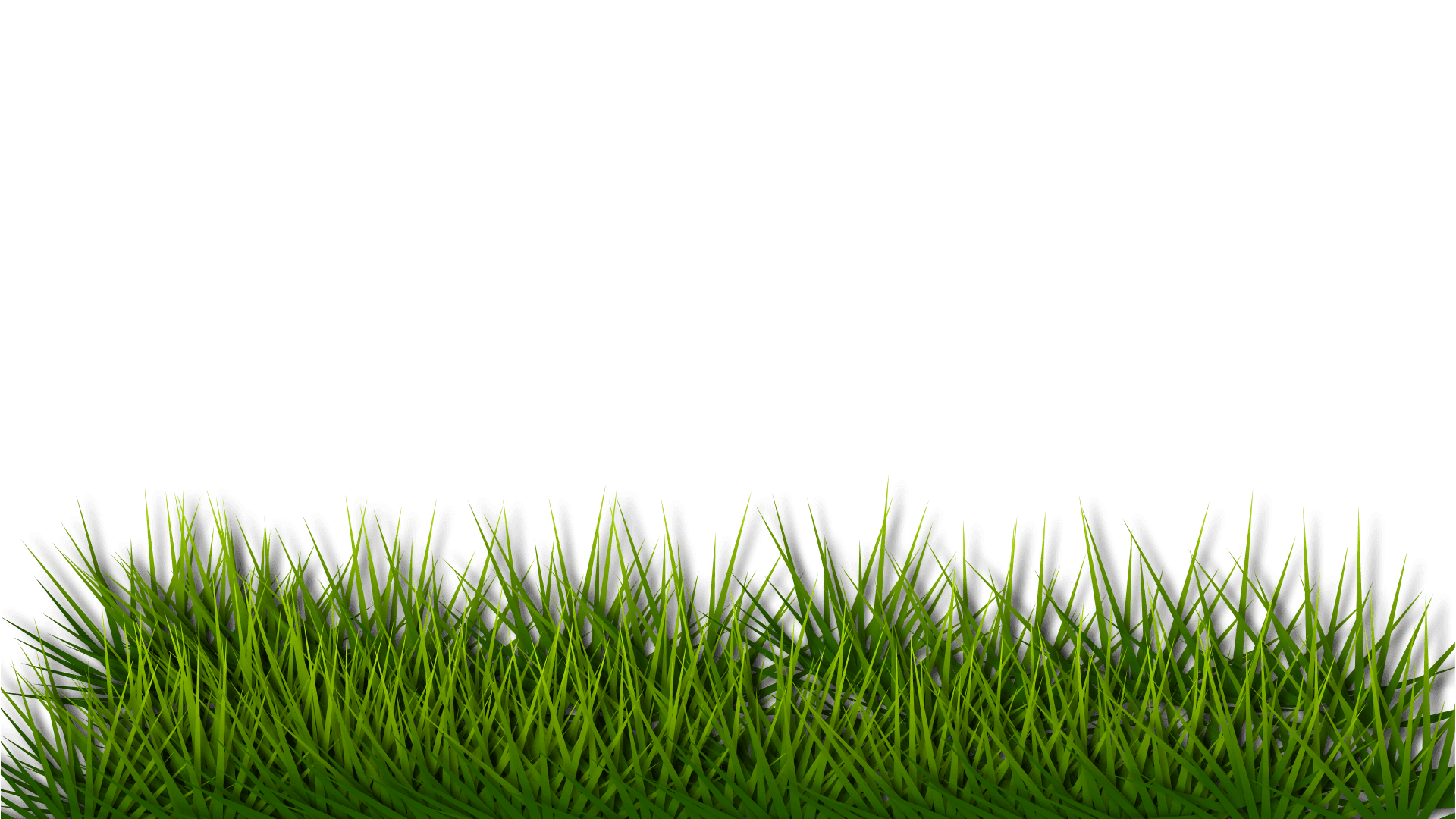 Decorative grass background